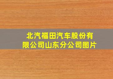 北汽福田汽车股份有限公司山东分公司图片