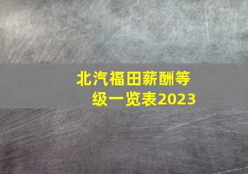 北汽福田薪酬等级一览表2023