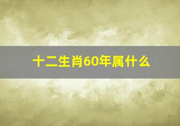 十二生肖60年属什么