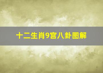 十二生肖9宫八卦图解