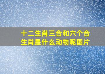 十二生肖三合和六个合生肖是什么动物呢图片