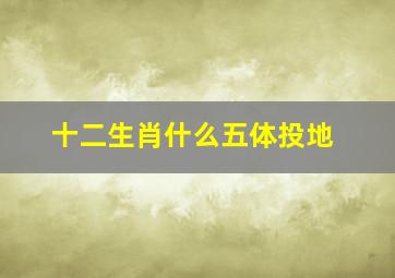 十二生肖什么五体投地