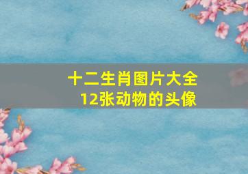 十二生肖图片大全12张动物的头像