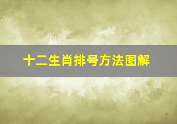 十二生肖排号方法图解