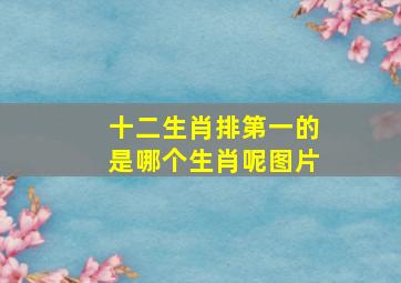 十二生肖排第一的是哪个生肖呢图片