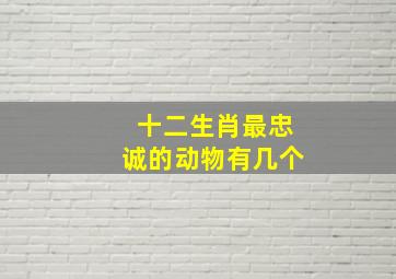 十二生肖最忠诚的动物有几个