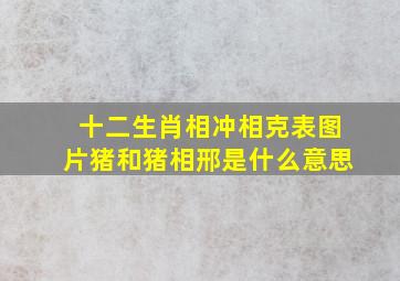 十二生肖相冲相克表图片猪和猪相邢是什么意思