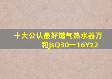 十大公认最好燃气热水器万和JsQ30一16Yz2