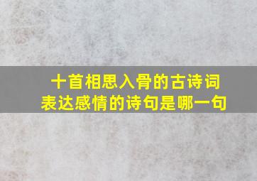 十首相思入骨的古诗词表达感情的诗句是哪一句