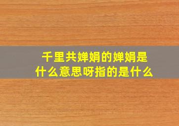 千里共婵娟的婵娟是什么意思呀指的是什么