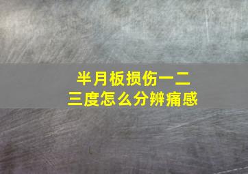 半月板损伤一二三度怎么分辨痛感