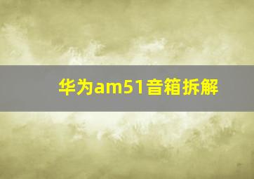 华为am51音箱拆解