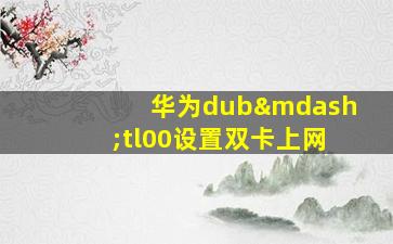 华为dub—tl00设置双卡上网