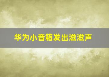 华为小音箱发出滋滋声