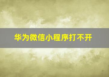 华为微信小程序打不开