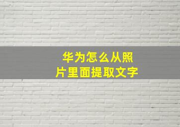 华为怎么从照片里面提取文字