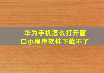 华为手机怎么打开窗口小程序软件下载不了