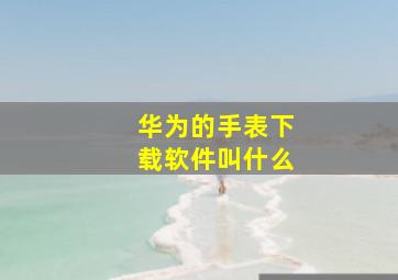 华为的手表下载软件叫什么