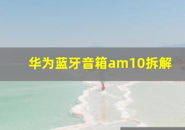 华为蓝牙音箱am10拆解