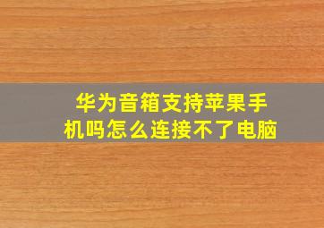 华为音箱支持苹果手机吗怎么连接不了电脑