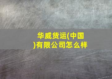 华威货运(中国)有限公司怎么样