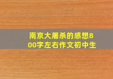 南京大屠杀的感想800字左右作文初中生