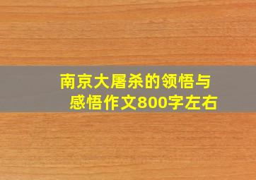 南京大屠杀的领悟与感悟作文800字左右