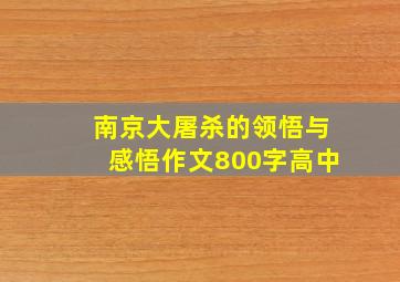 南京大屠杀的领悟与感悟作文800字高中