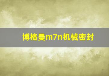 博格曼m7n机械密封