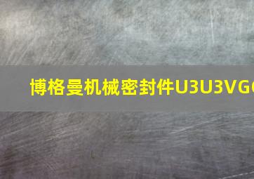 博格曼机械密封件U3U3VGG