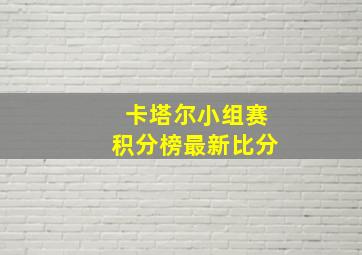 卡塔尔小组赛积分榜最新比分