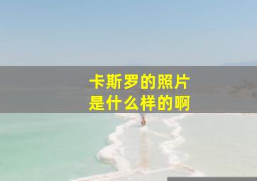 卡斯罗的照片是什么样的啊