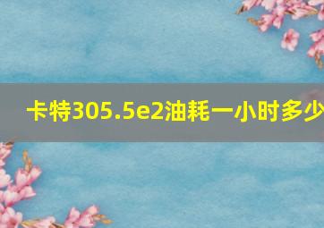 卡特305.5e2油耗一小时多少