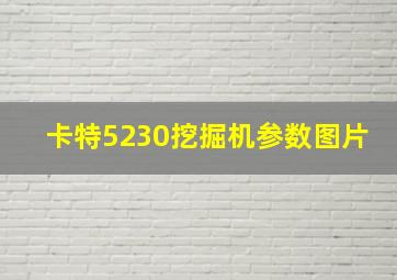 卡特5230挖掘机参数图片