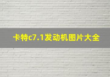 卡特c7.1发动机图片大全