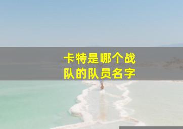 卡特是哪个战队的队员名字