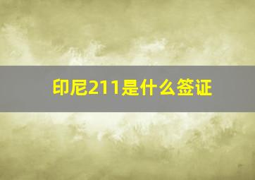 印尼211是什么签证