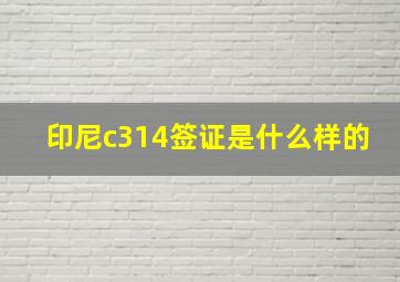 印尼c314签证是什么样的