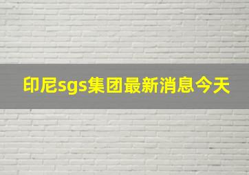 印尼sgs集团最新消息今天