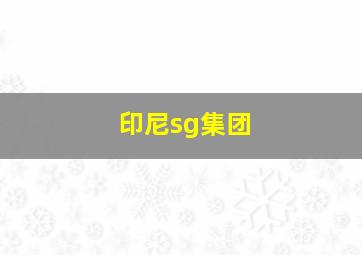 印尼sg集团