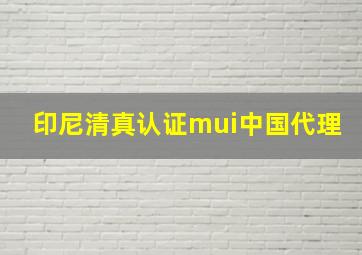 印尼清真认证mui中国代理