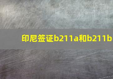 印尼签证b211a和b211b