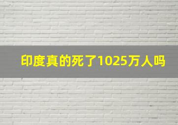 印度真的死了1025万人吗