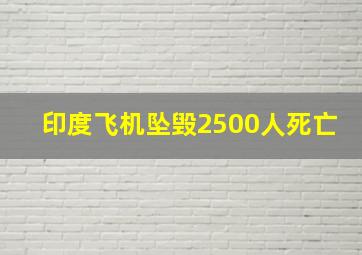 印度飞机坠毁2500人死亡