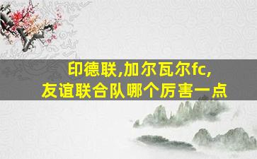 印德联,加尔瓦尔fc,友谊联合队哪个厉害一点