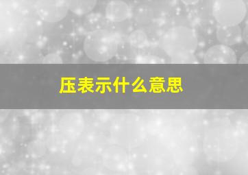 压表示什么意思