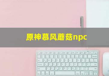 原神慕风蘑菇npc