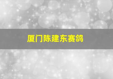 厦门陈建东赛鸽