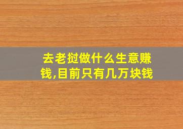 去老挝做什么生意赚钱,目前只有几万块钱