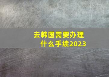 去韩国需要办理什么手续2023